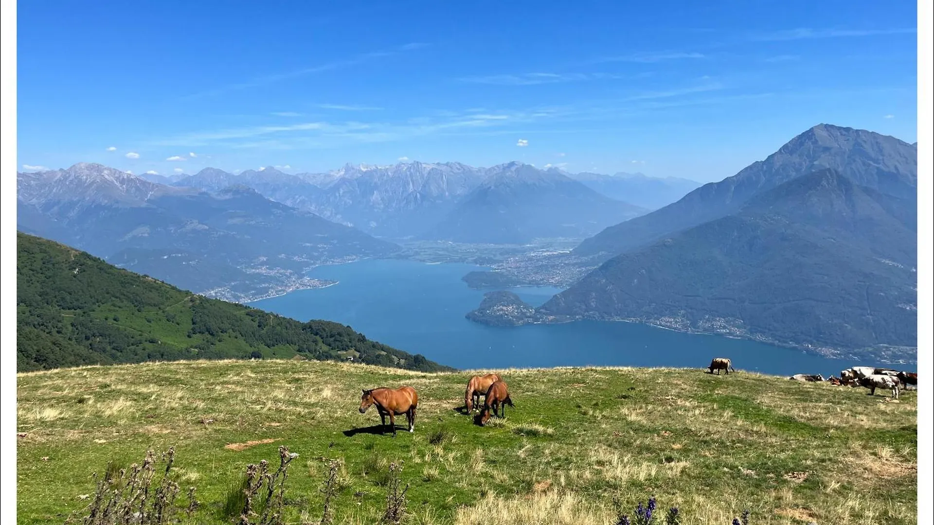 Casa Azalea, Vista Lago E Giardino Cremia 0*,  İtalya