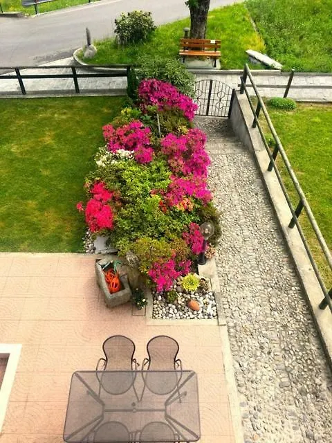 Azalea Di Gigliola Ziello - 