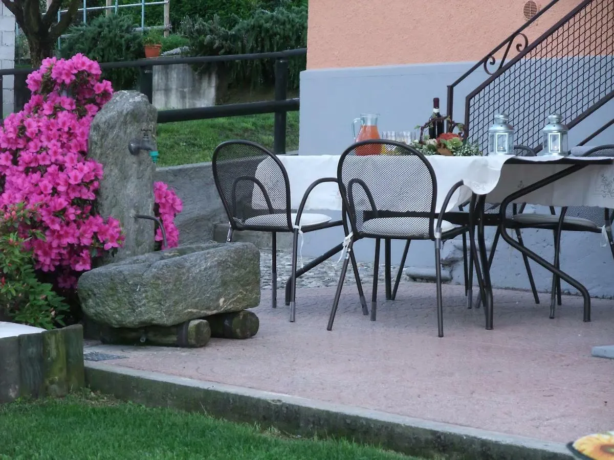 Azalea Di Gigliola Ziello - 